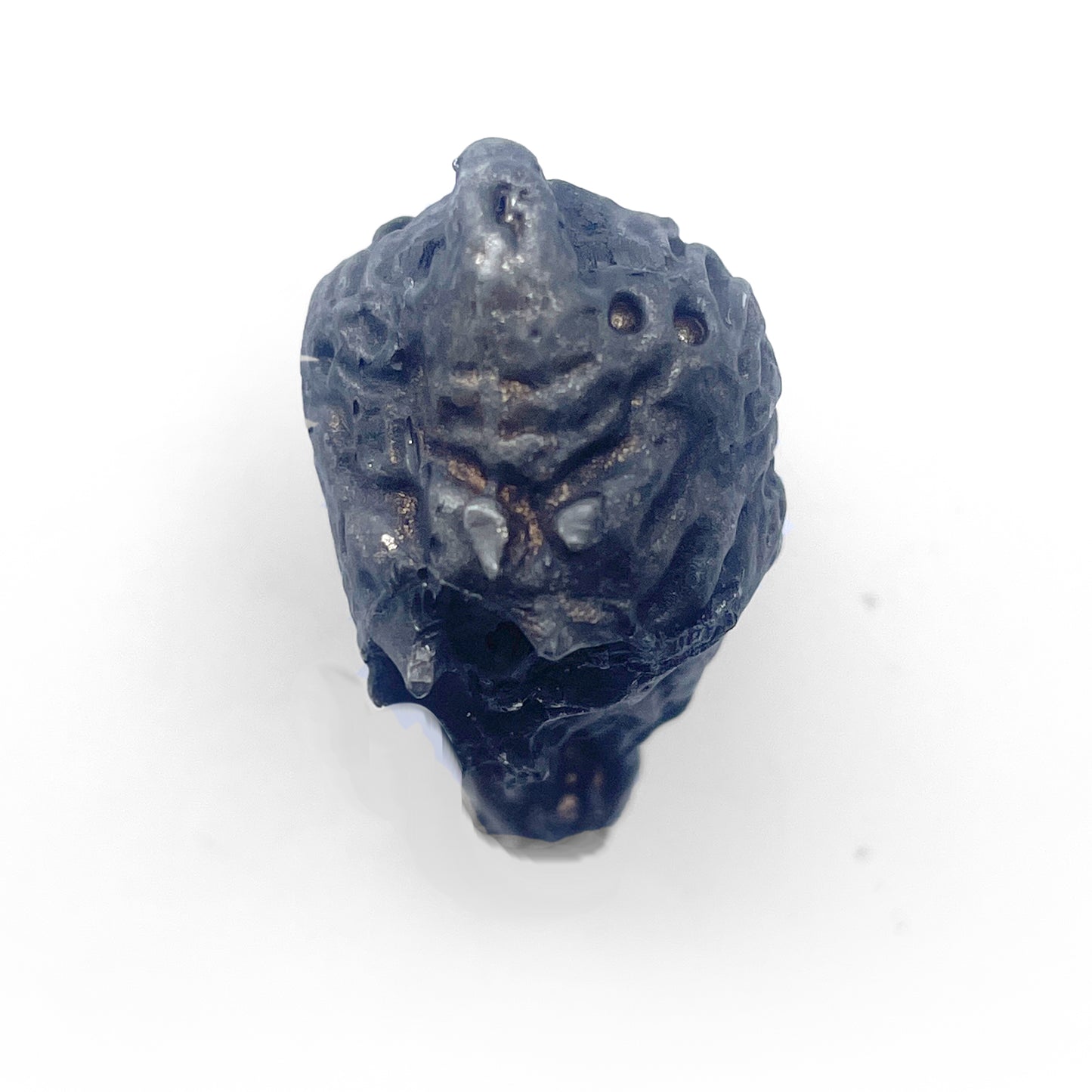 Visitor Artifact